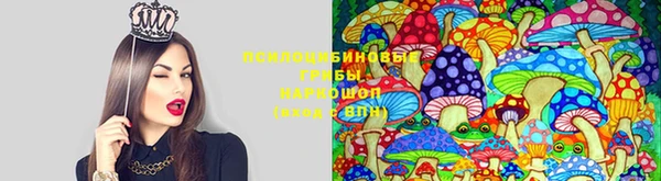 СК Кинешма