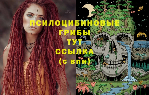 герыч Касимов